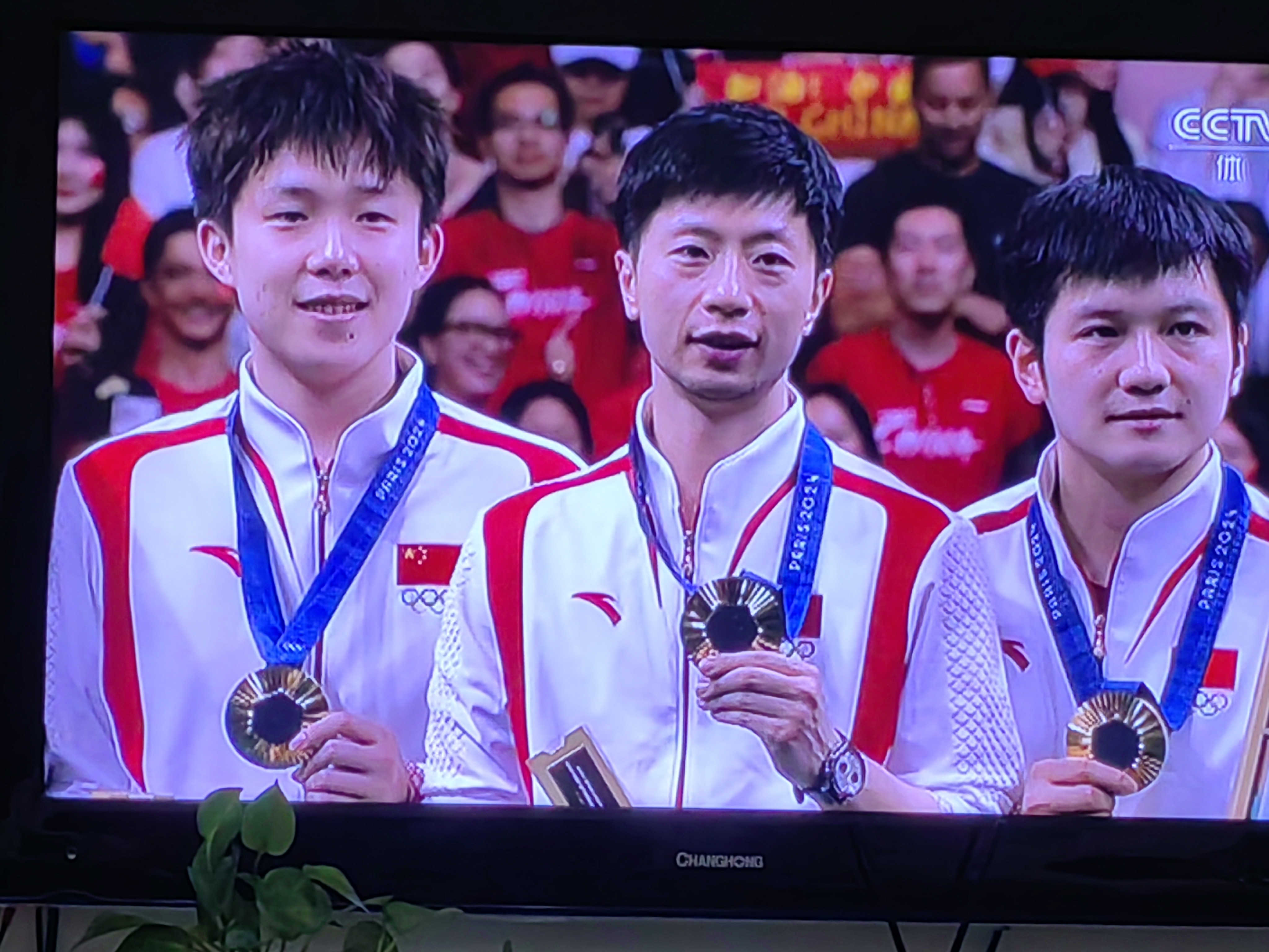 开云体育在线-日本队完胜中国队，马龙惊艳四座