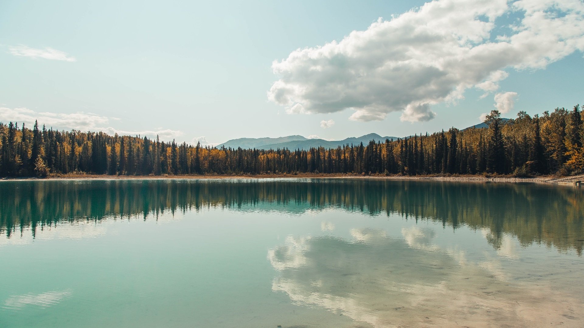 平凡奇迹与非凡统治,篮球的双重面孔