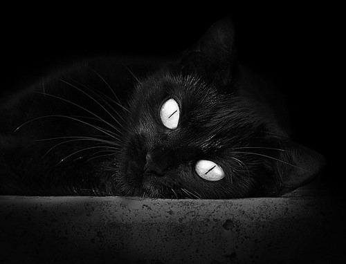 暗物质之战,奥运周期下的隐形焦点