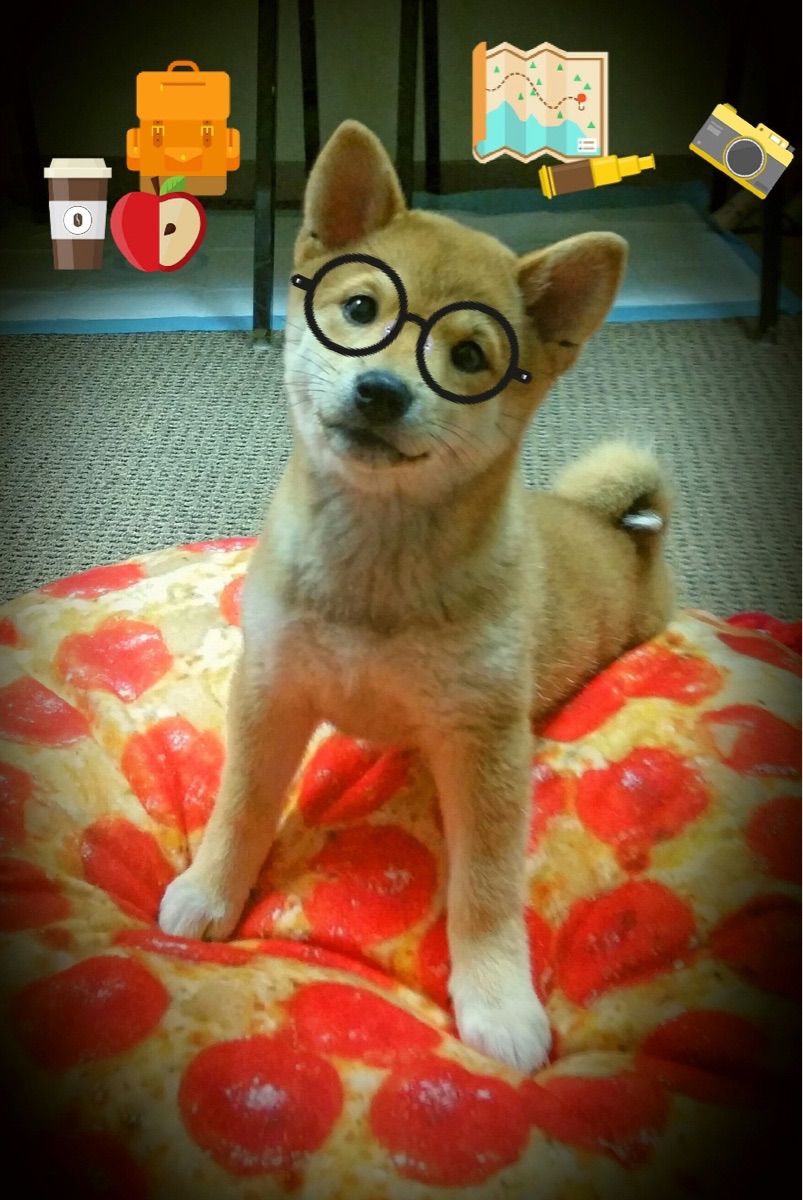 倒计时绝杀，当姆巴佩化身洪都拉斯的黑衣审判官