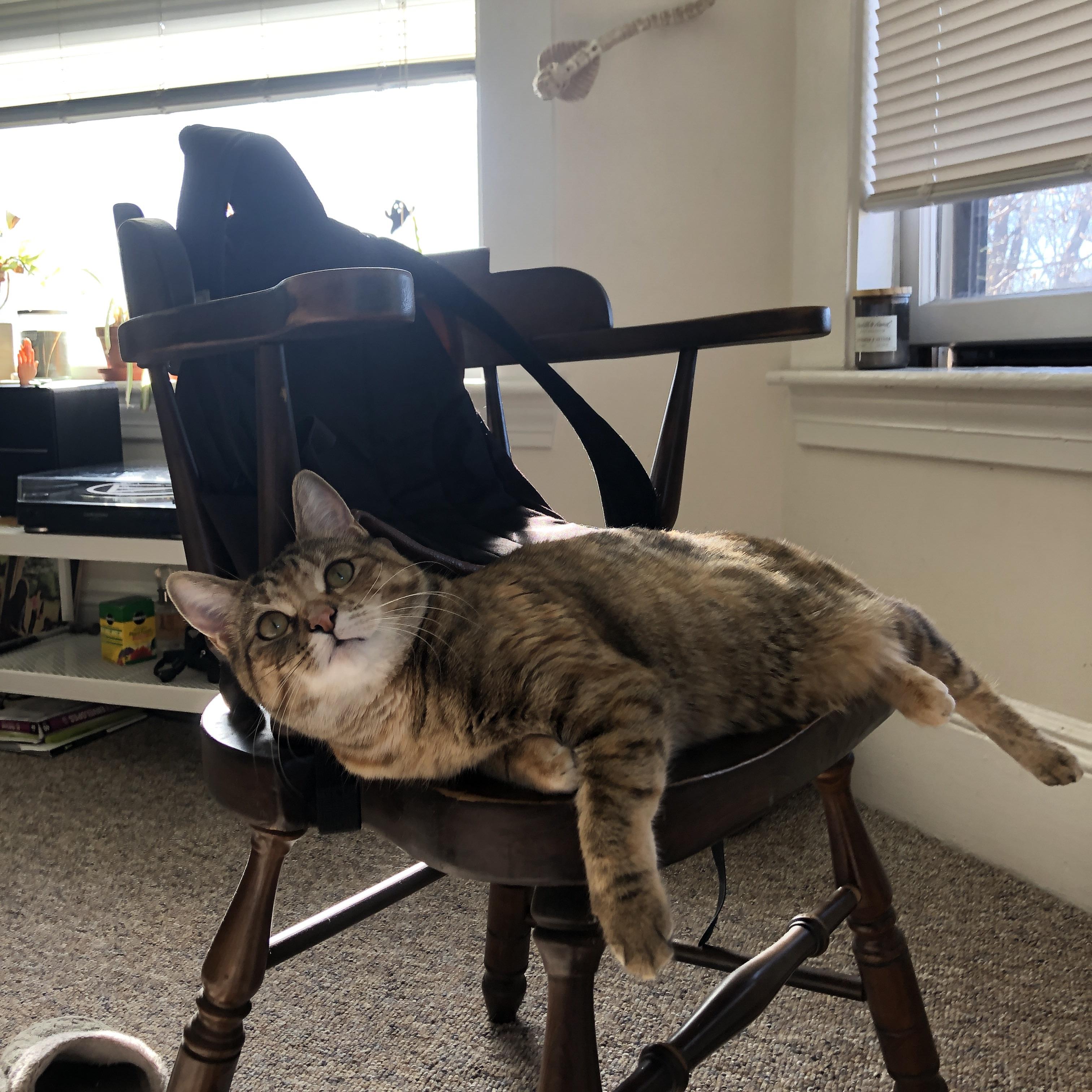 惊天逆转夜！沉默领袖化身关键先生，尼斯导演意大利奇迹