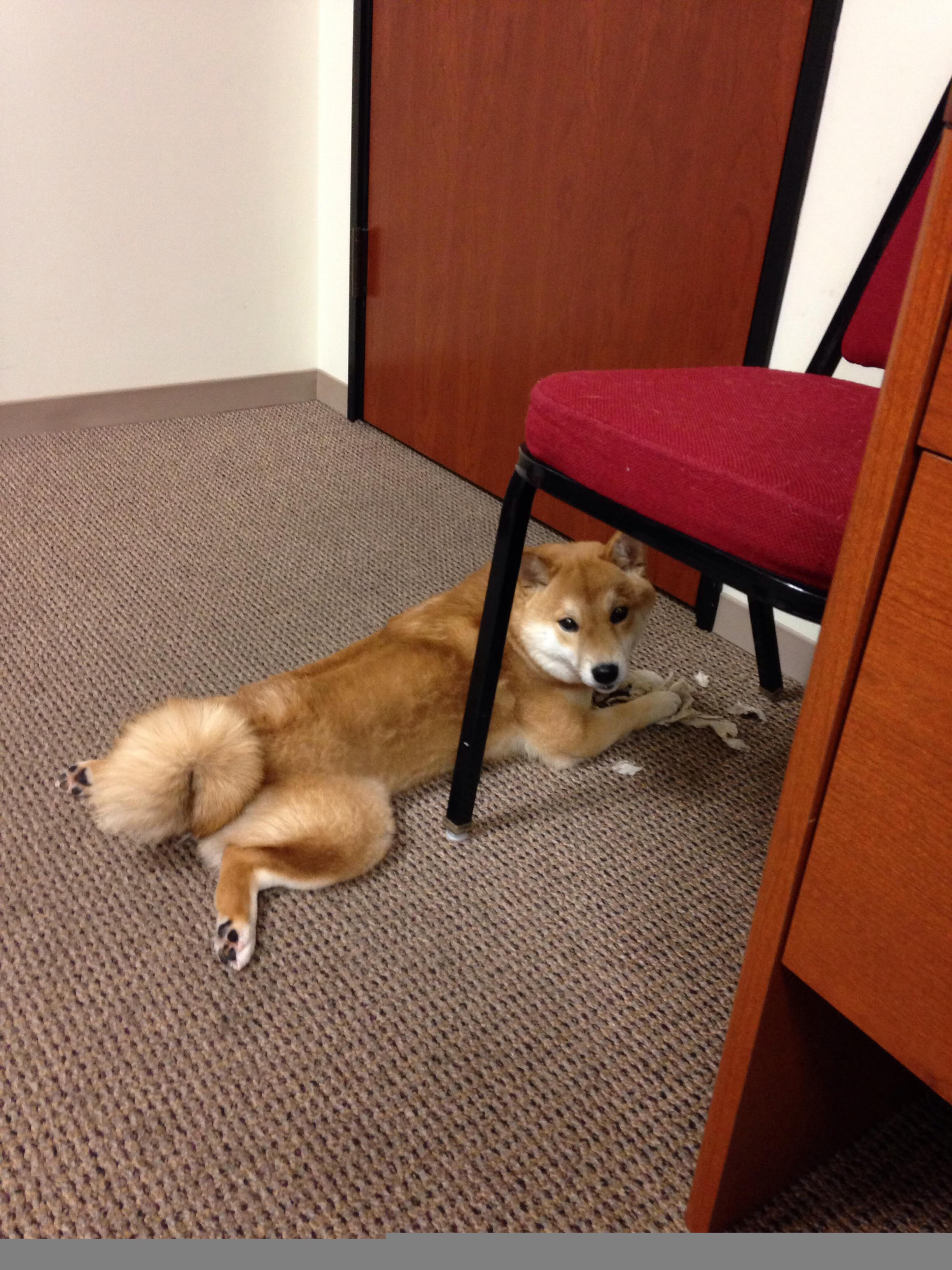 铁闸与探戈，阿什拉夫镇守摩洛哥的星光，与哥伦比亚鏖战德国的群星战记