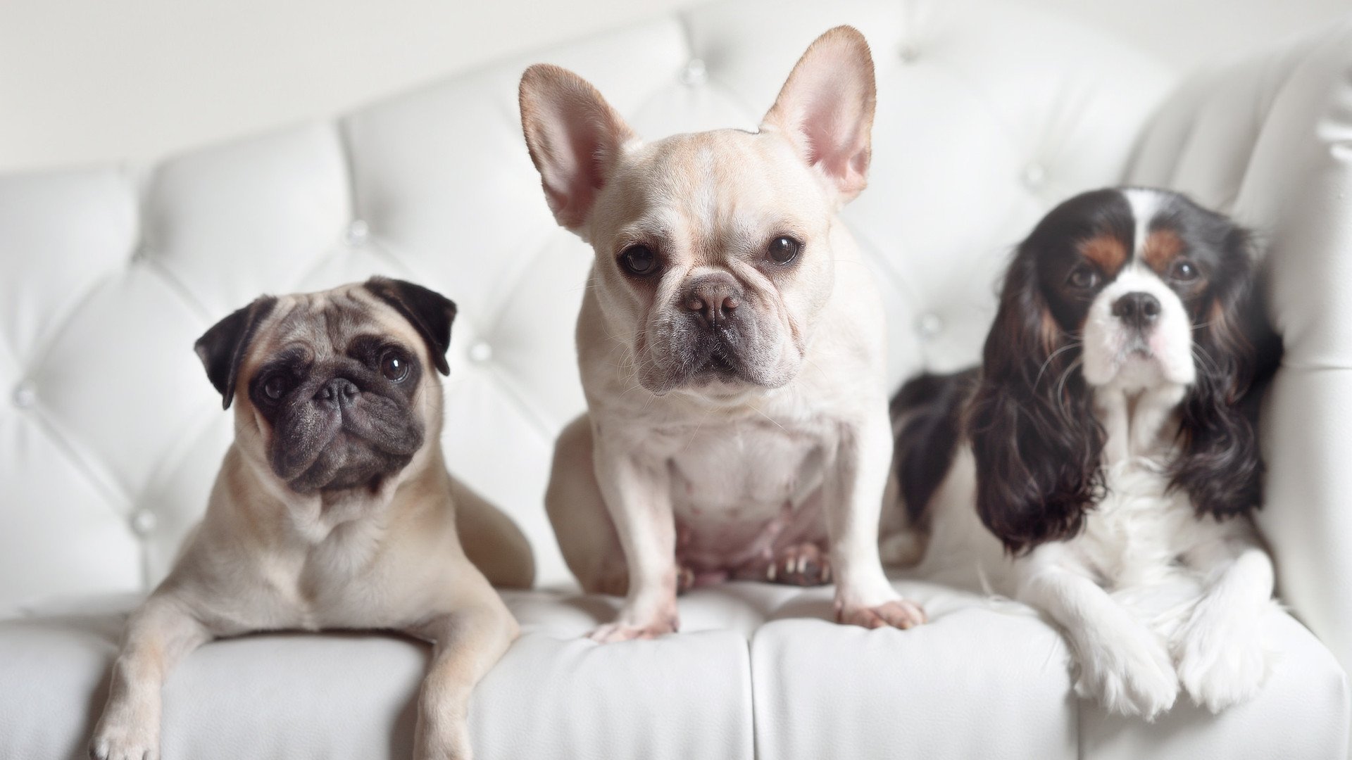 烈阳焚牛，君临天下，詹姆斯的抢七独舞