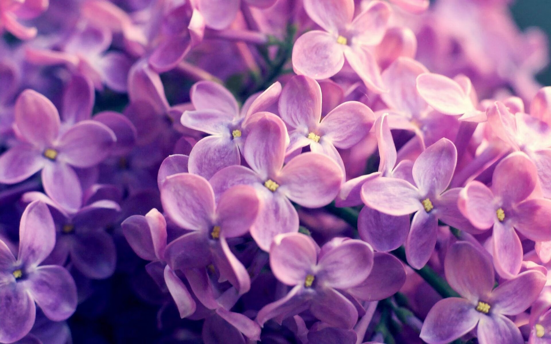 跨界门，当C罗空降总决赛，法老封印伯纳乌