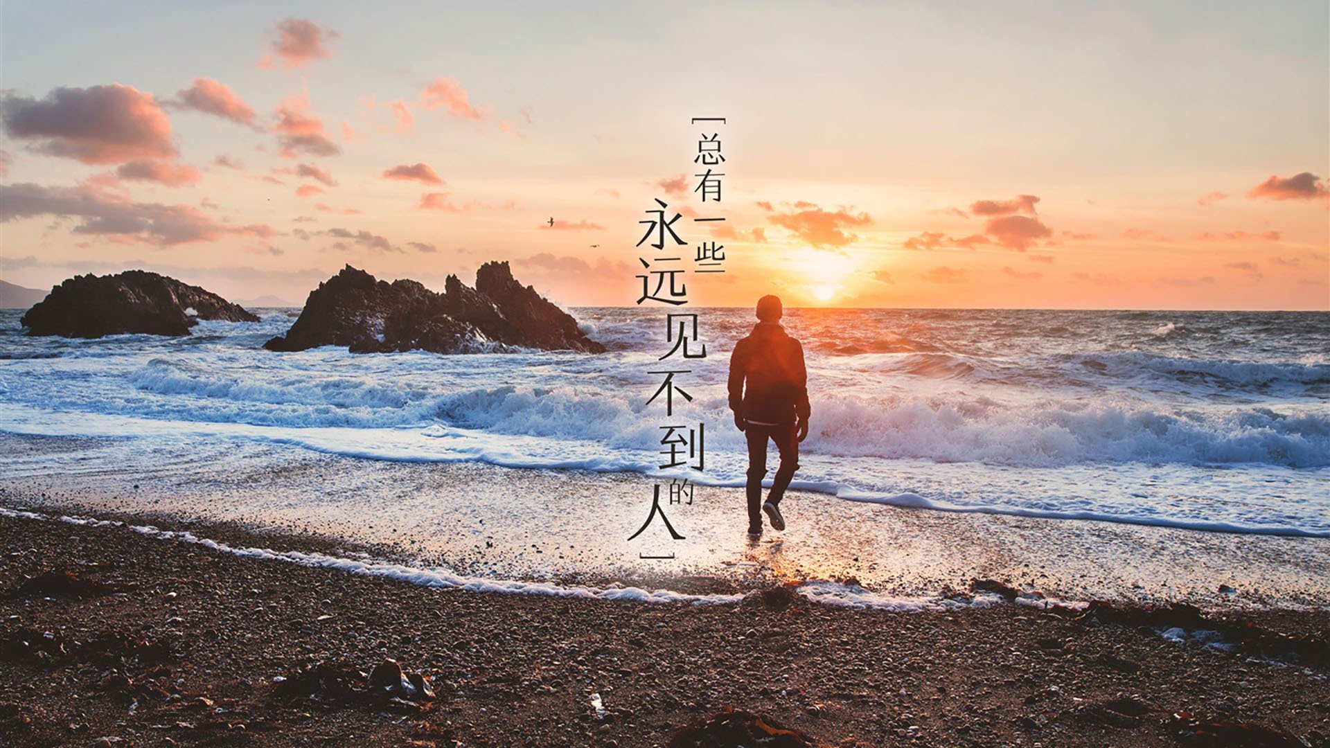 一人敌一城!锡安肉弹冲击碾碎奇才,末节19分上演孤胆英雄