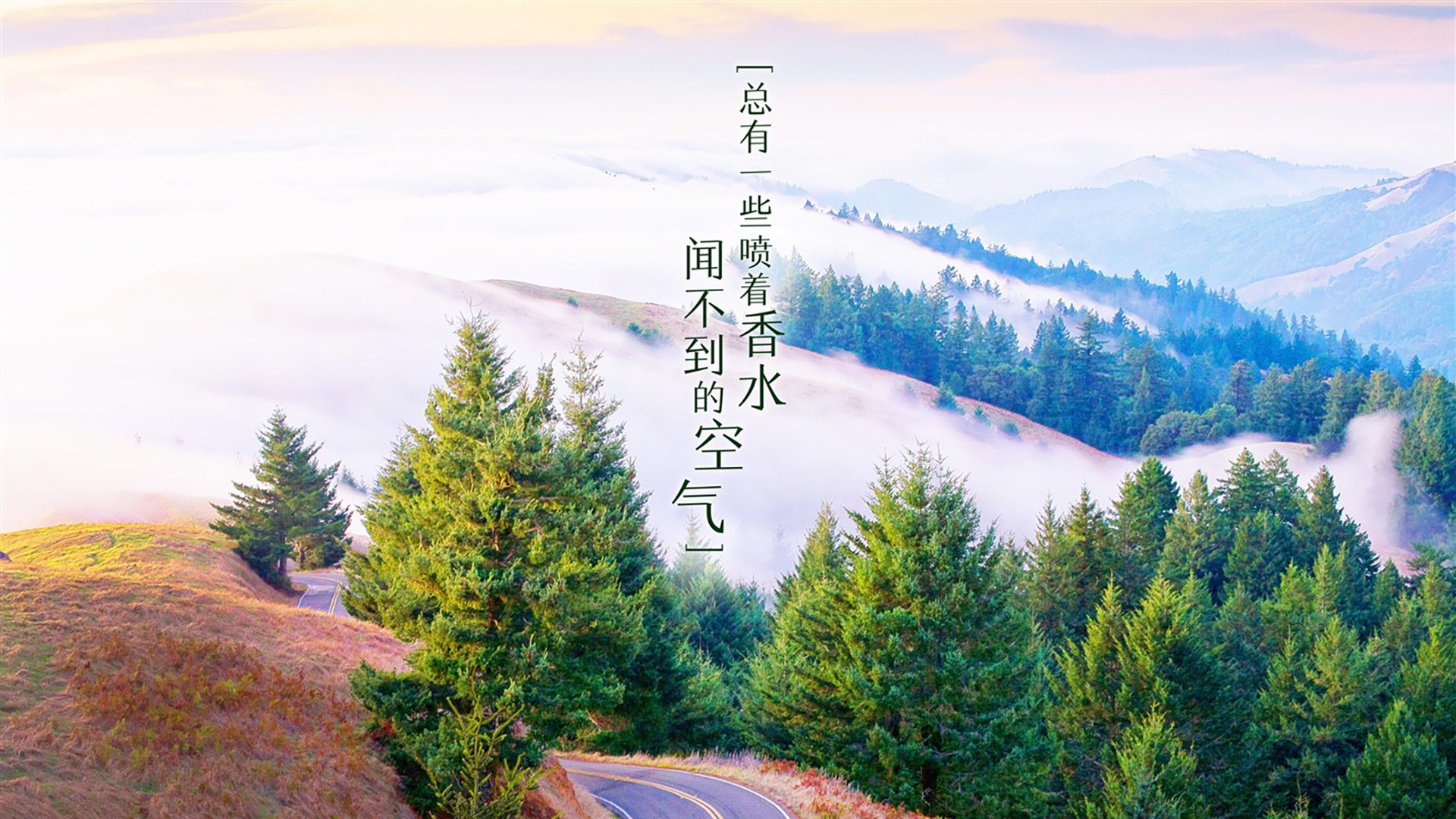 速度与意志的终极对决，F1收官战与CBA总决赛的争冠交响曲